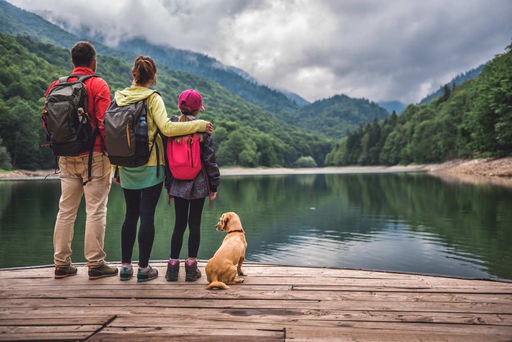 Travel Smart, Stay Healthy: An Ayurvedic Guide to Safe Travel